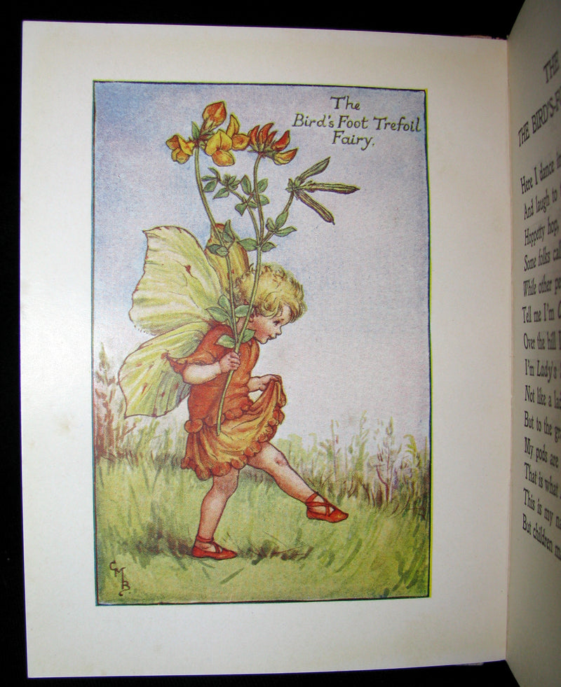 1930's Book - Cicely Mary Barker - FLOWER FAIRIES OF THE SUMMER