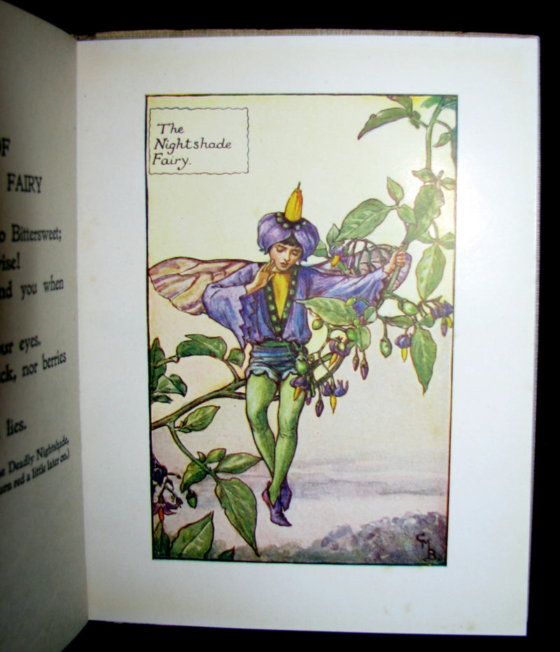 1930's Book - Cicely Mary Barker - FLOWER FAIRIES OF THE SUMMER