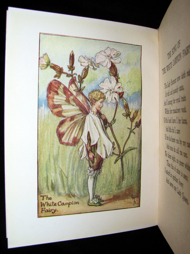 1930's Book - Cicely Mary Barker - FLOWER FAIRIES OF THE SUMMER