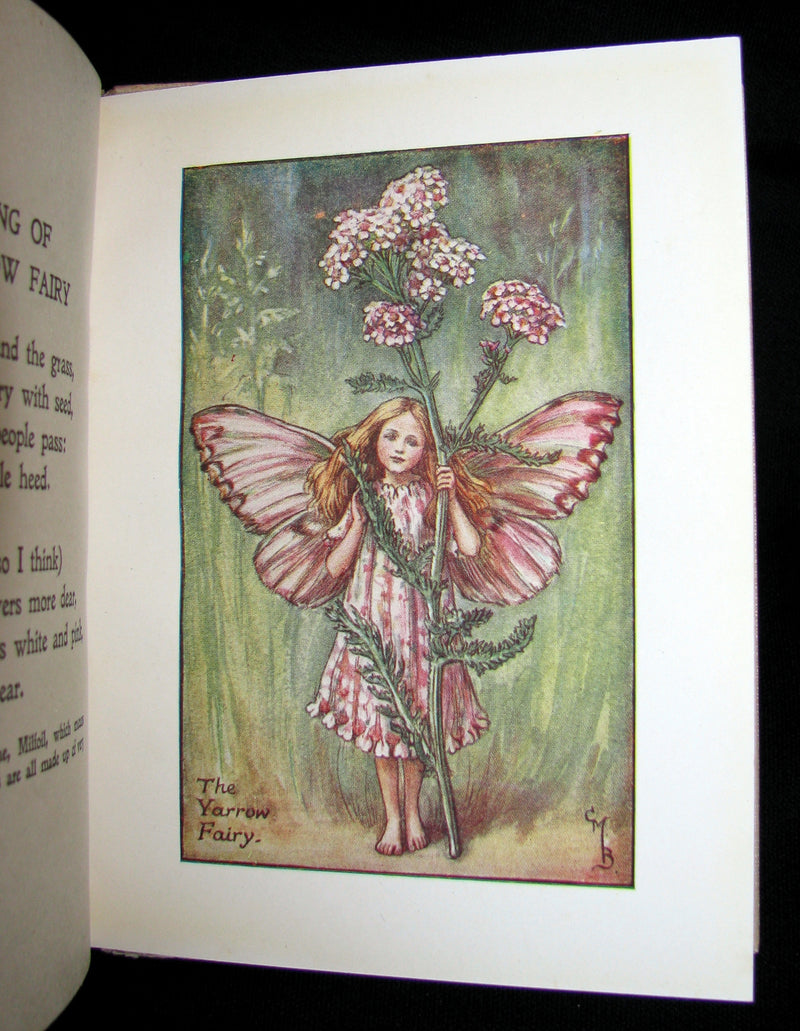 1930's Book - Cicely Mary Barker - FLOWER FAIRIES OF THE SUMMER