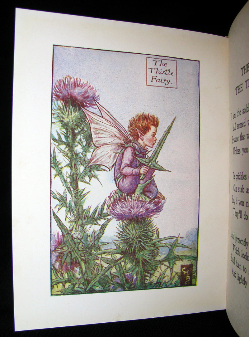 1930's Book - Cicely Mary Barker - FLOWER FAIRIES OF THE SUMMER