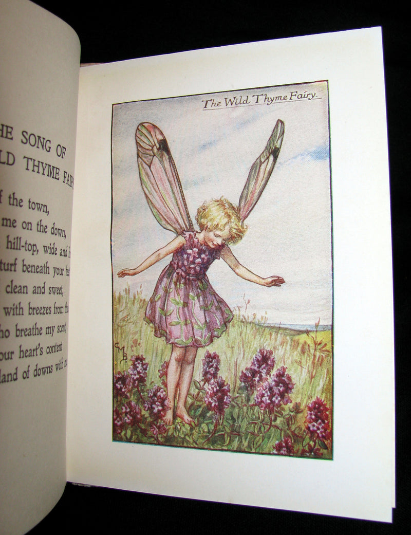 1930's Book - Cicely Mary Barker - FLOWER FAIRIES OF THE SUMMER