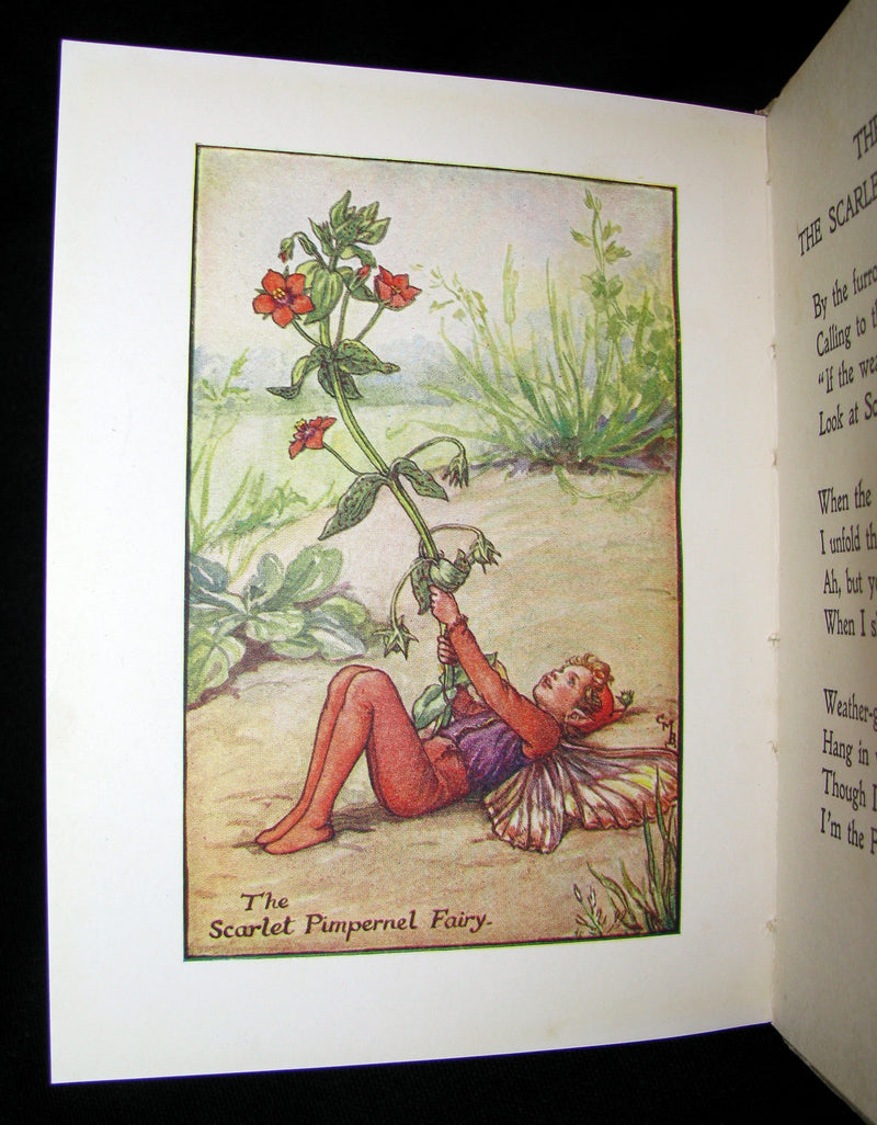 1930's Book - Cicely Mary Barker - FLOWER FAIRIES OF THE SUMMER