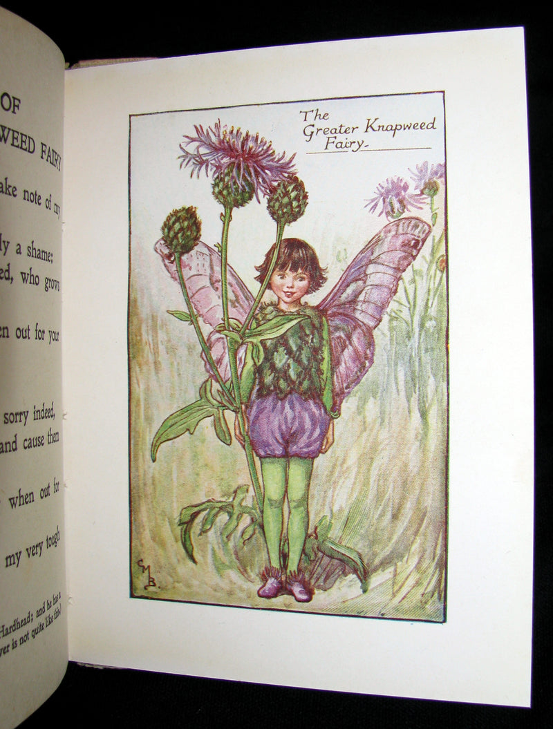 1930's Book - Cicely Mary Barker - FLOWER FAIRIES OF THE SUMMER