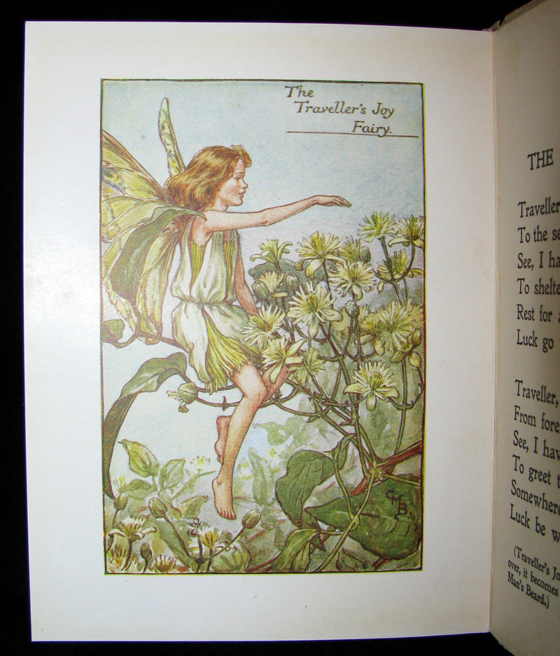 1930's Book - Cicely Mary Barker - FLOWER FAIRIES OF THE SUMMER