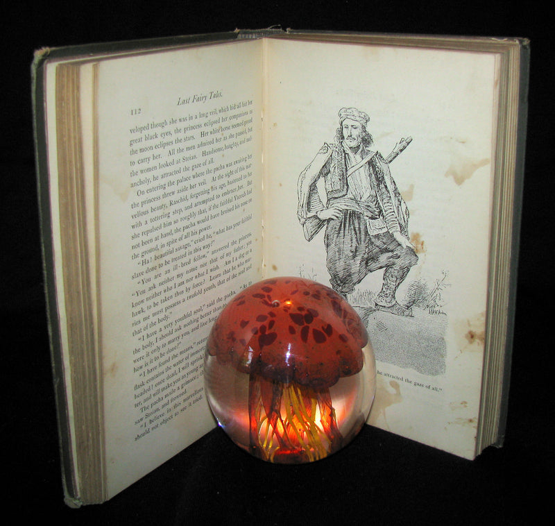 1885 Rare Book - Laboulaye's LAST FAIRY TALES - illustrated First Edition