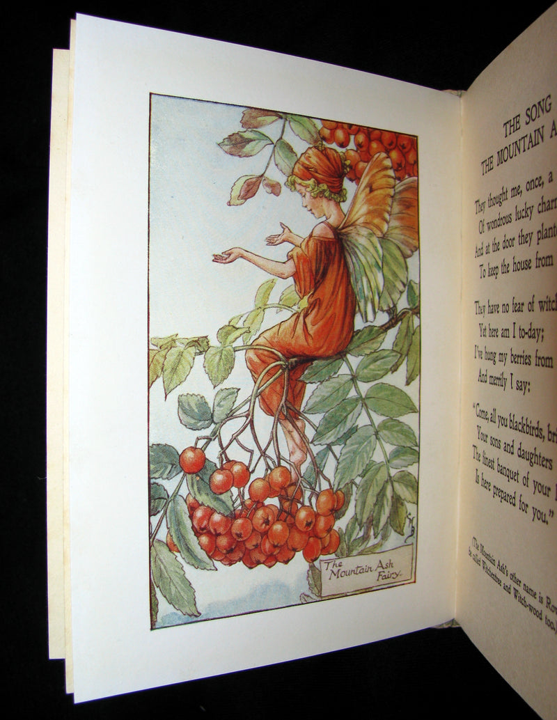1930's Book - Cicely Mary Barker - FLOWER FAIRIES OF THE AUTUMN