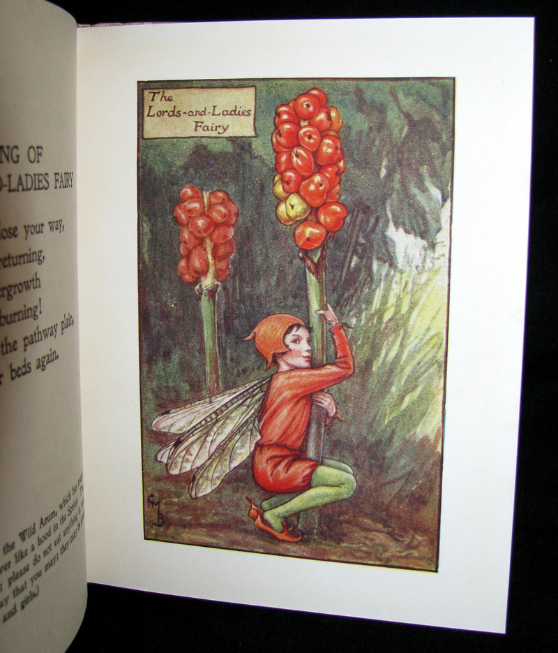 1930's Book - Cicely Mary Barker - FLOWER FAIRIES OF THE AUTUMN