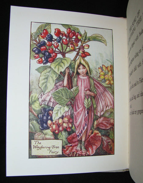 1930's Book - Cicely Mary Barker - FLOWER FAIRIES OF THE AUTUMN