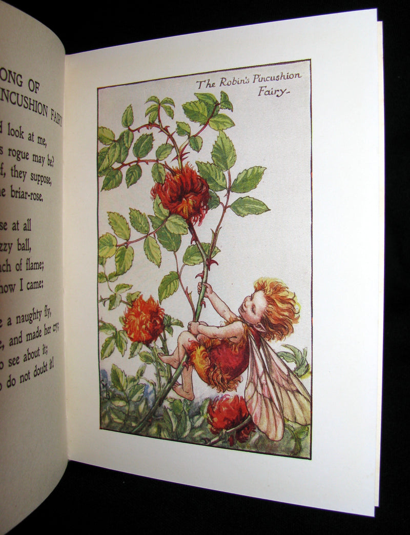 1930's Book - Cicely Mary Barker - FLOWER FAIRIES OF THE AUTUMN