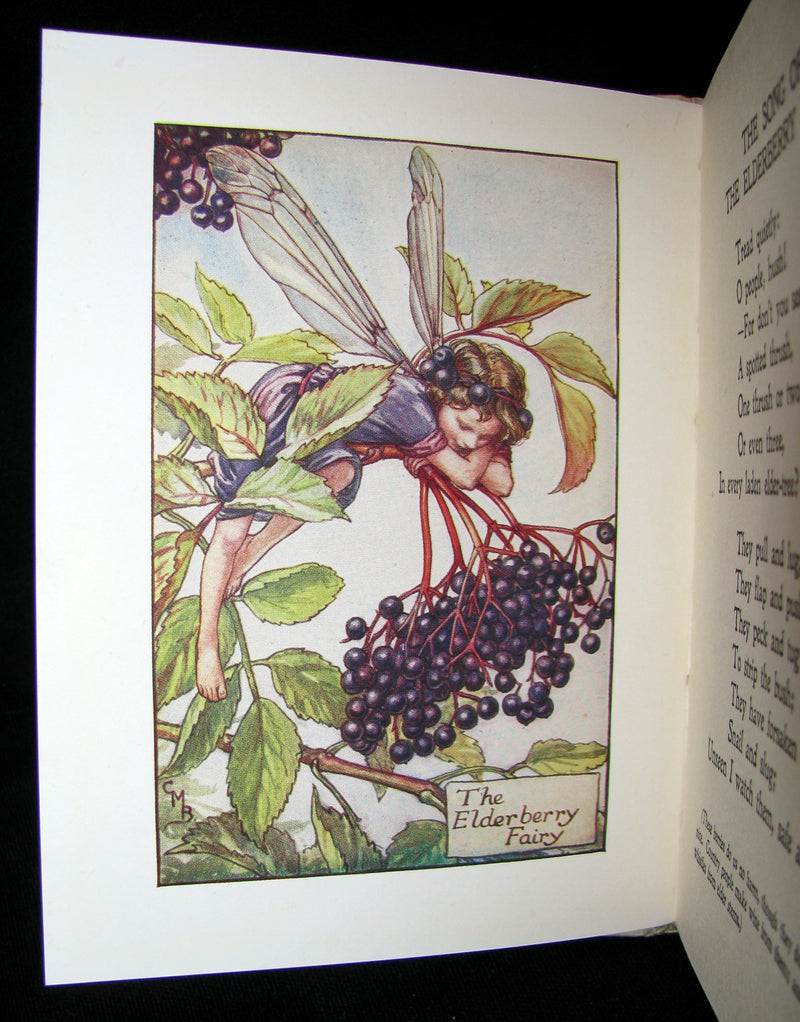 1930's Book - Cicely Mary Barker - FLOWER FAIRIES OF THE AUTUMN