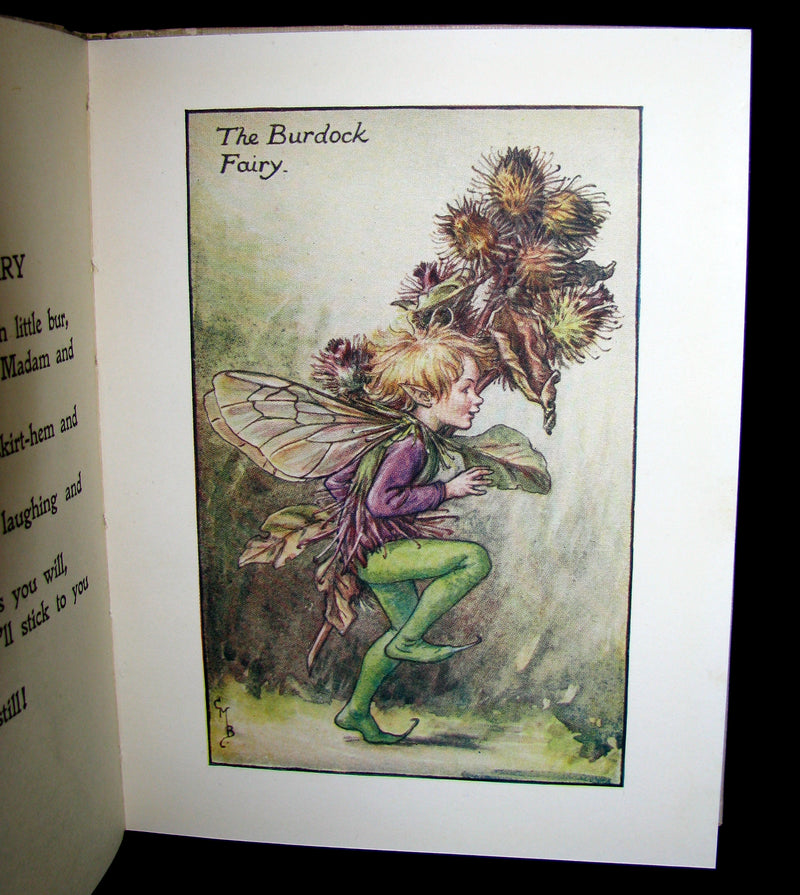 1930's Book - Cicely Mary Barker - FLOWER FAIRIES OF THE AUTUMN