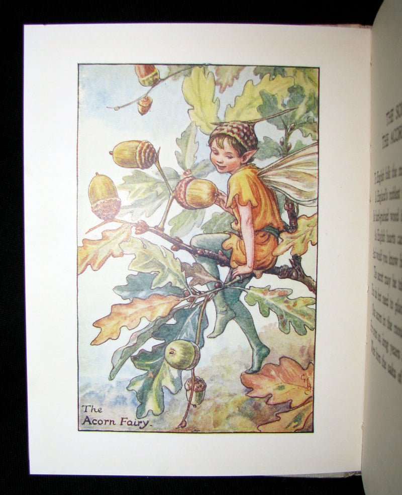 1930's Book - Cicely Mary Barker - FLOWER FAIRIES OF THE AUTUMN
