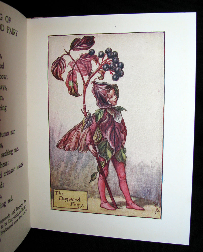1930's Book - Cicely Mary Barker - FLOWER FAIRIES OF THE AUTUMN