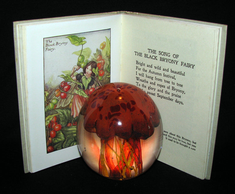 1930's Book - Cicely Mary Barker - FLOWER FAIRIES OF THE AUTUMN