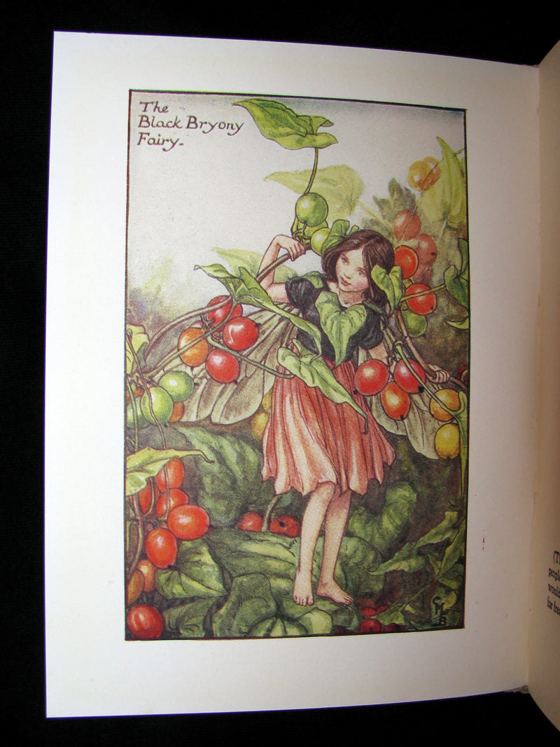 1930's Book - Cicely Mary Barker - FLOWER FAIRIES OF THE AUTUMN