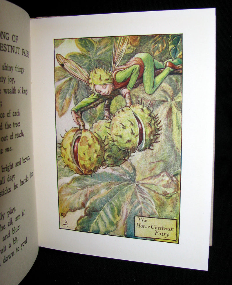 1930's Book - Cicely Mary Barker - FLOWER FAIRIES OF THE AUTUMN