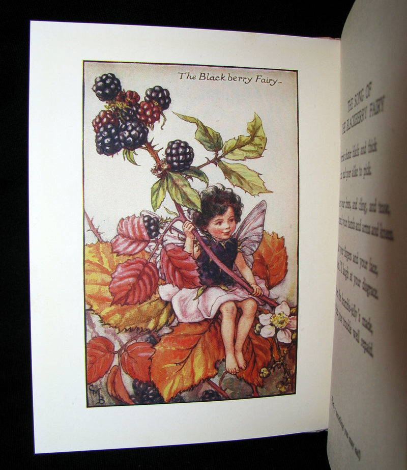 1930's Book - Cicely Mary Barker - FLOWER FAIRIES OF THE AUTUMN