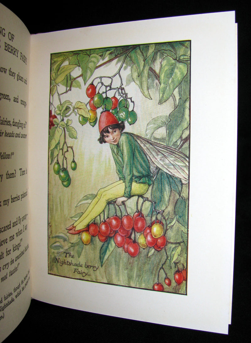 1930's Book - Cicely Mary Barker - FLOWER FAIRIES OF THE AUTUMN