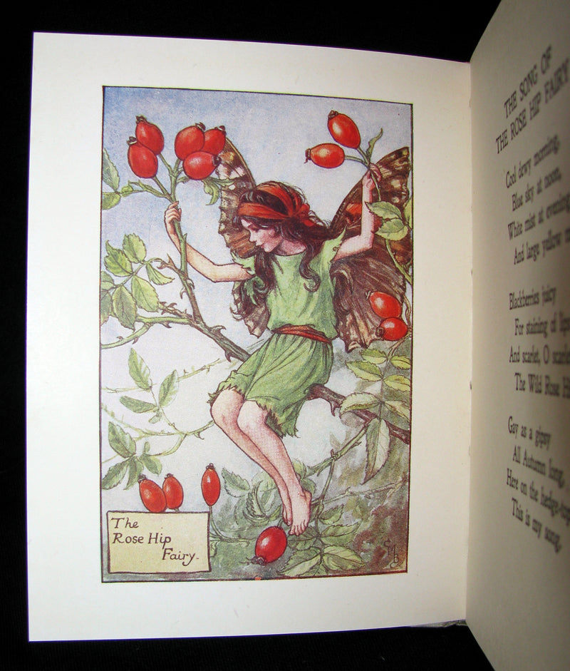 1930's Book - Cicely Mary Barker - FLOWER FAIRIES OF THE AUTUMN