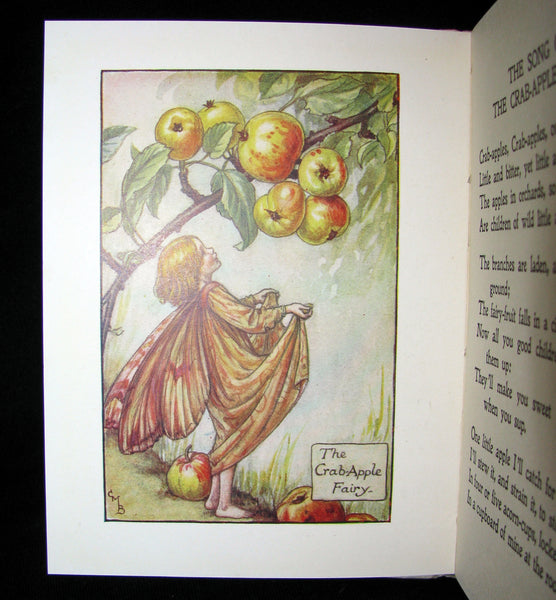 1930's Book - Cicely Mary Barker - FLOWER FAIRIES OF THE AUTUMN
