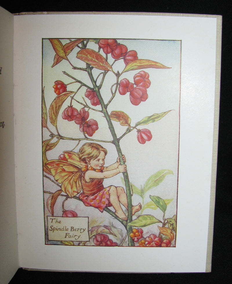1930's Book - Cicely Mary Barker - FLOWER FAIRIES OF THE AUTUMN