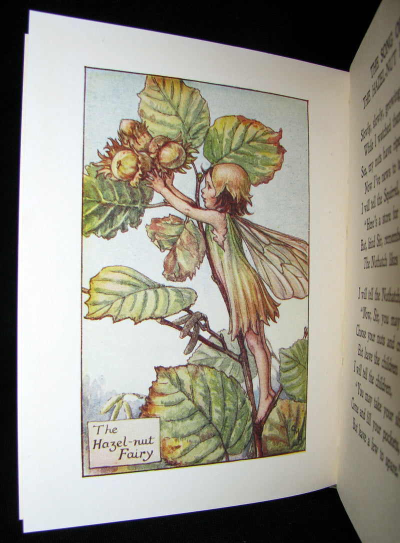 1930's Book - Cicely Mary Barker - FLOWER FAIRIES OF THE AUTUMN