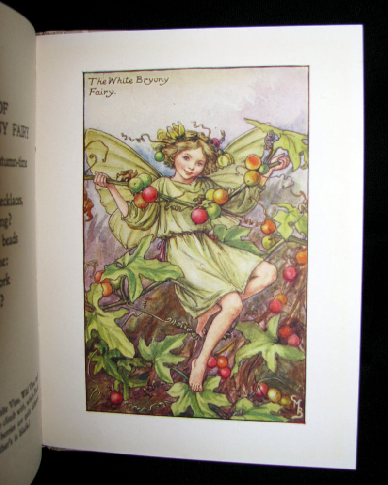 1930's Book - Cicely Mary Barker - FLOWER FAIRIES OF THE AUTUMN