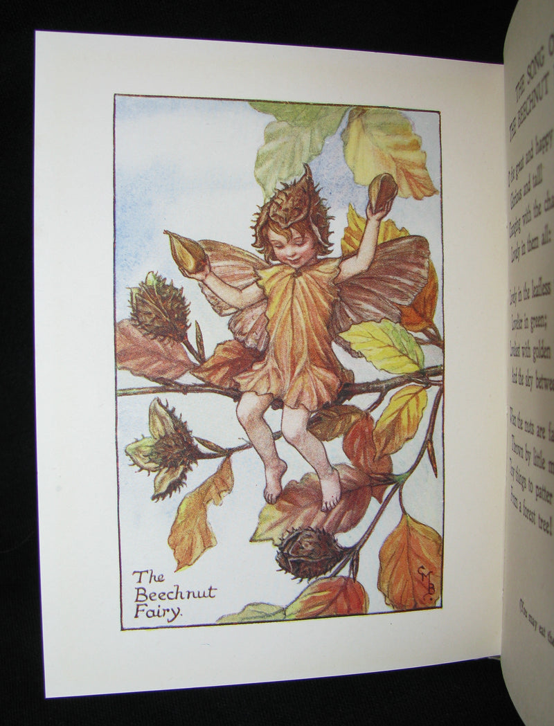1930's Book - Cicely Mary Barker - FLOWER FAIRIES OF THE AUTUMN