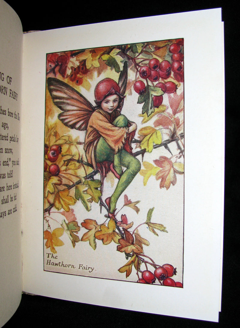 1930's Book - Cicely Mary Barker - FLOWER FAIRIES OF THE AUTUMN