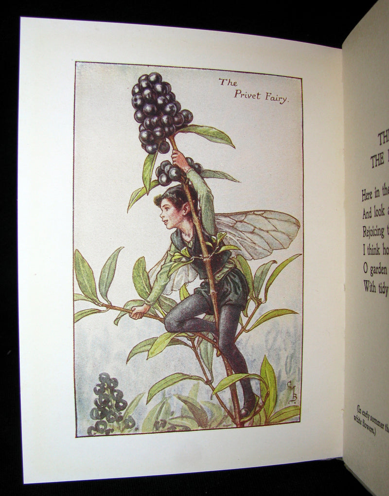 1930's Book - Cicely Mary Barker - FLOWER FAIRIES OF THE AUTUMN
