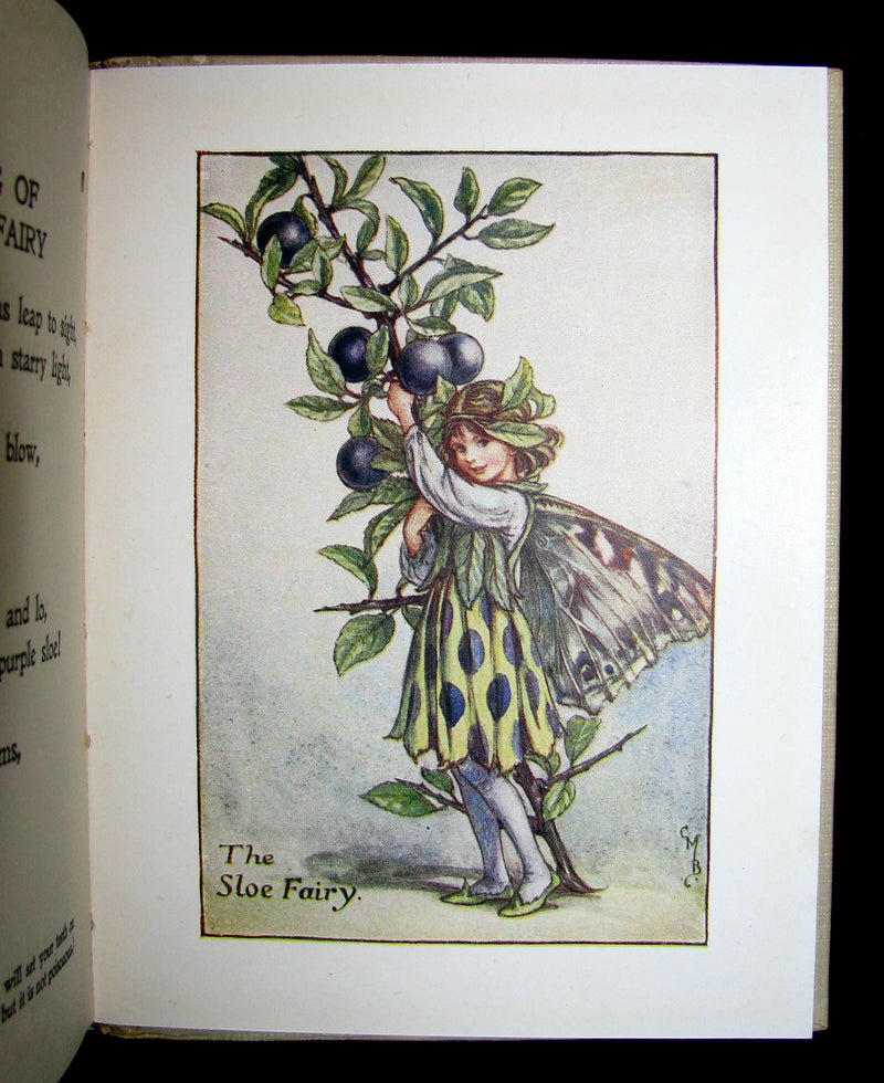 1930's Book - Cicely Mary Barker - FLOWER FAIRIES OF THE AUTUMN
