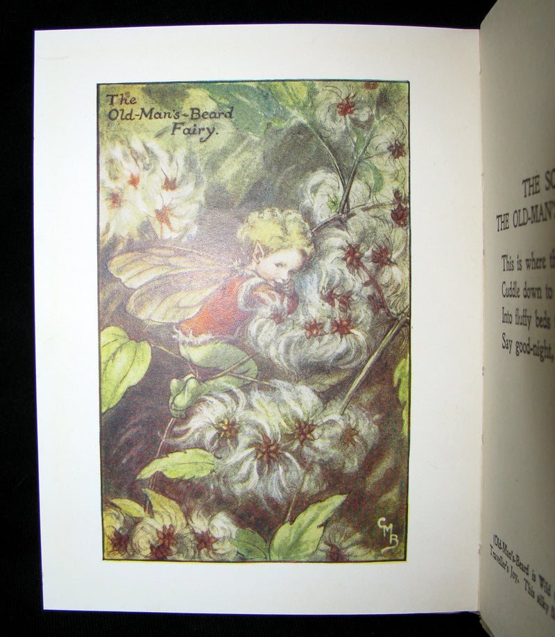 1930's Book - Cicely Mary Barker - FLOWER FAIRIES OF THE AUTUMN
