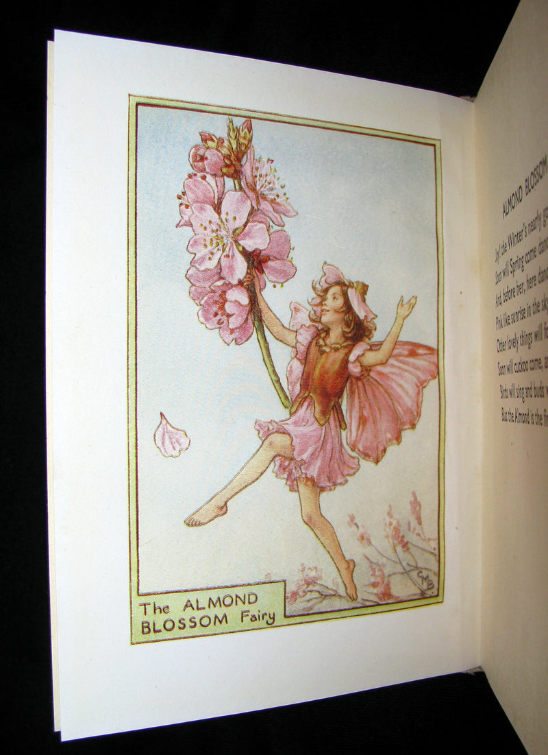 1930's Book - Cicely Mary Barker - FLOWER FAIRIES OF THE TREES
