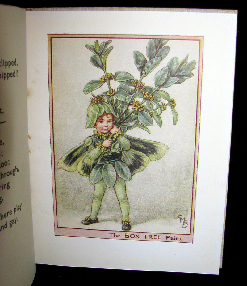 1930's Book - Cicely Mary Barker - FLOWER FAIRIES OF THE TREES