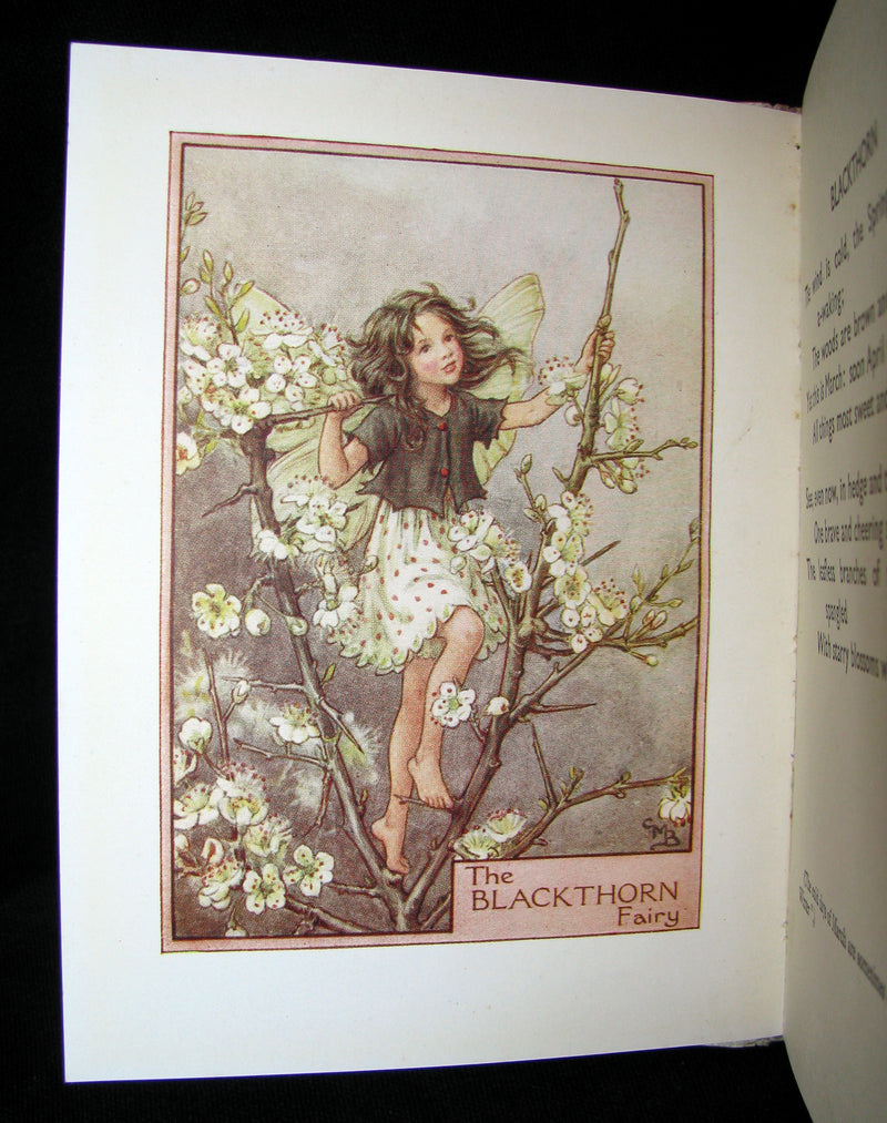 1930's Book - Cicely Mary Barker - FLOWER FAIRIES OF THE TREES