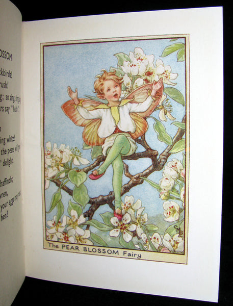 1930's Book - Cicely Mary Barker - FLOWER FAIRIES OF THE TREES