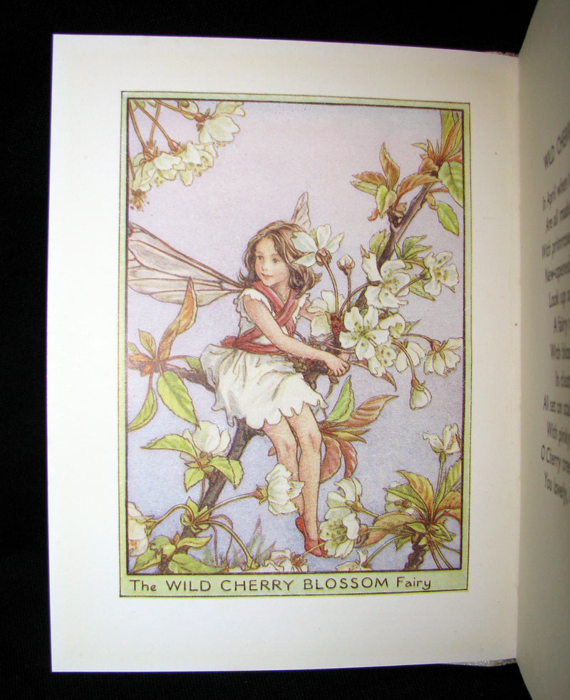 1930's Book - Cicely Mary Barker - FLOWER FAIRIES OF THE TREES