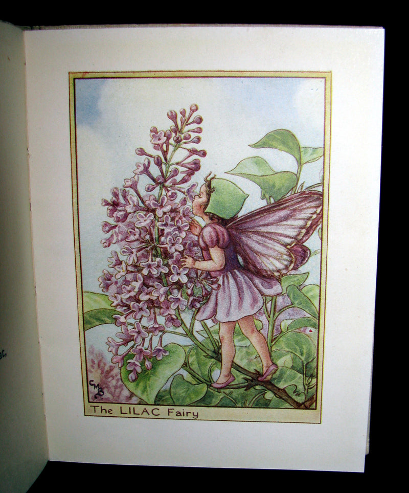 1930's Book - Cicely Mary Barker - FLOWER FAIRIES OF THE TREES