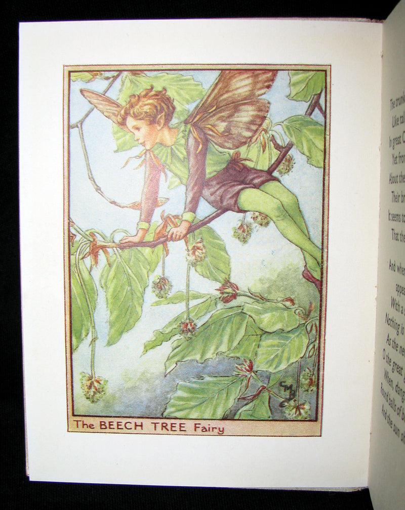1930's Book - Cicely Mary Barker - FLOWER FAIRIES OF THE TREES