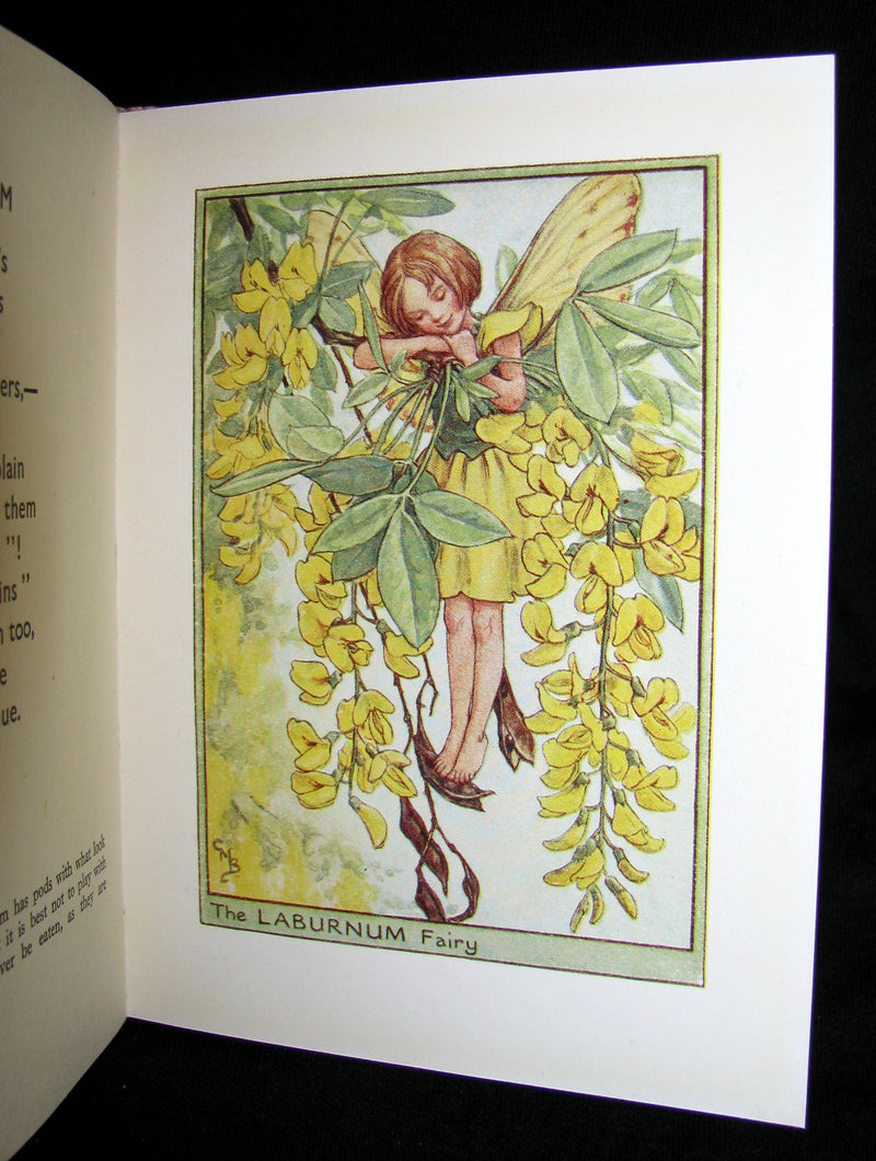 1930's Book - Cicely Mary Barker - FLOWER FAIRIES OF THE TREES