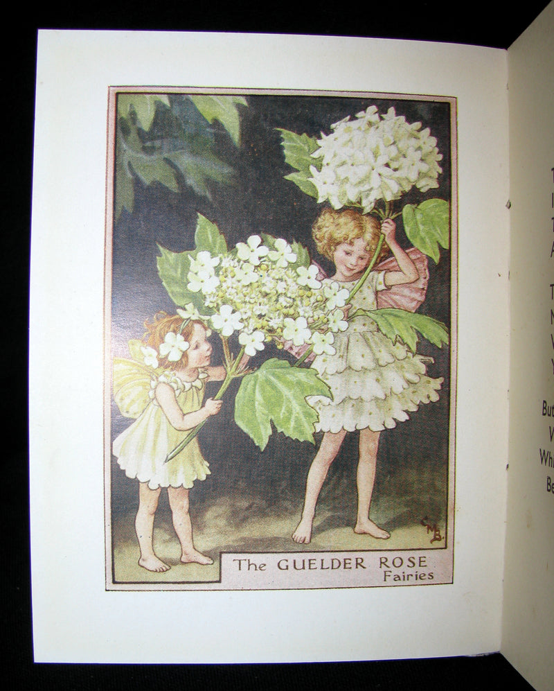 1930's Book - Cicely Mary Barker - FLOWER FAIRIES OF THE TREES