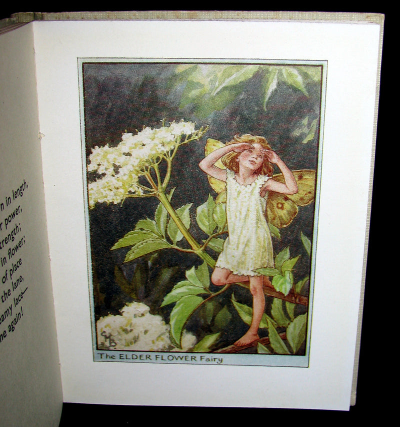 1930's Book - Cicely Mary Barker - FLOWER FAIRIES OF THE TREES