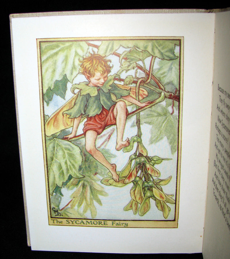 1930's Book - Cicely Mary Barker - FLOWER FAIRIES OF THE TREES