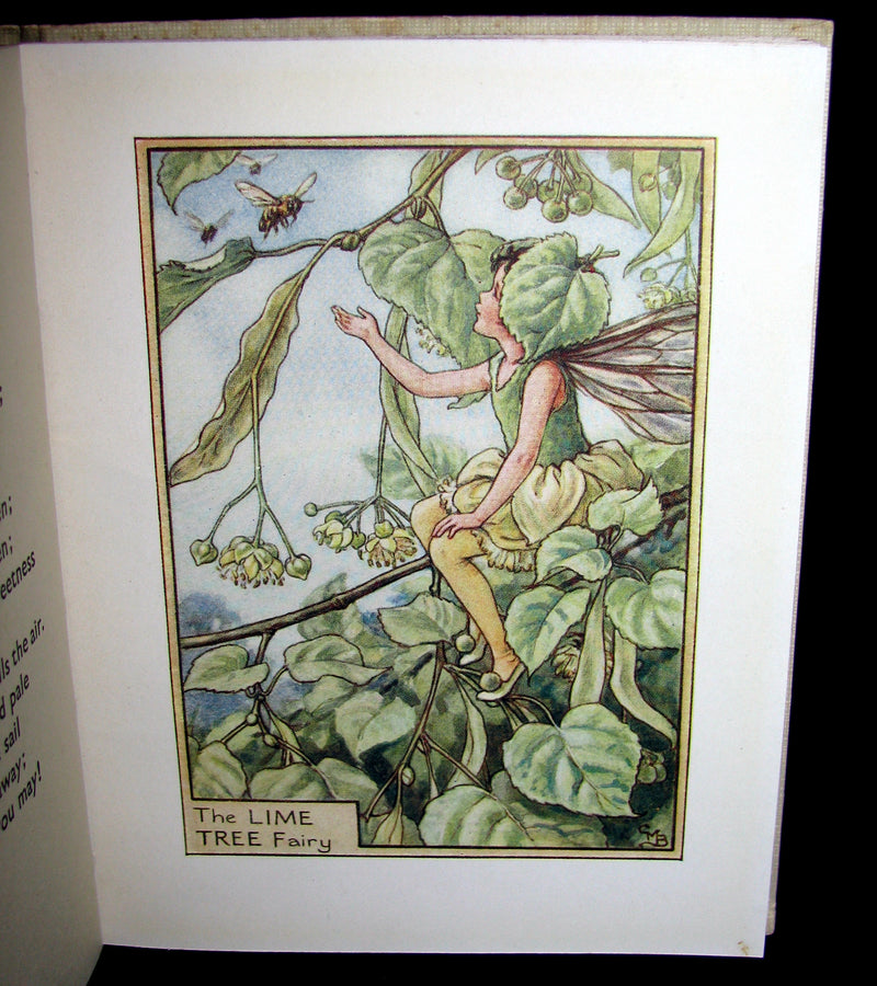 1930's Book - Cicely Mary Barker - FLOWER FAIRIES OF THE TREES