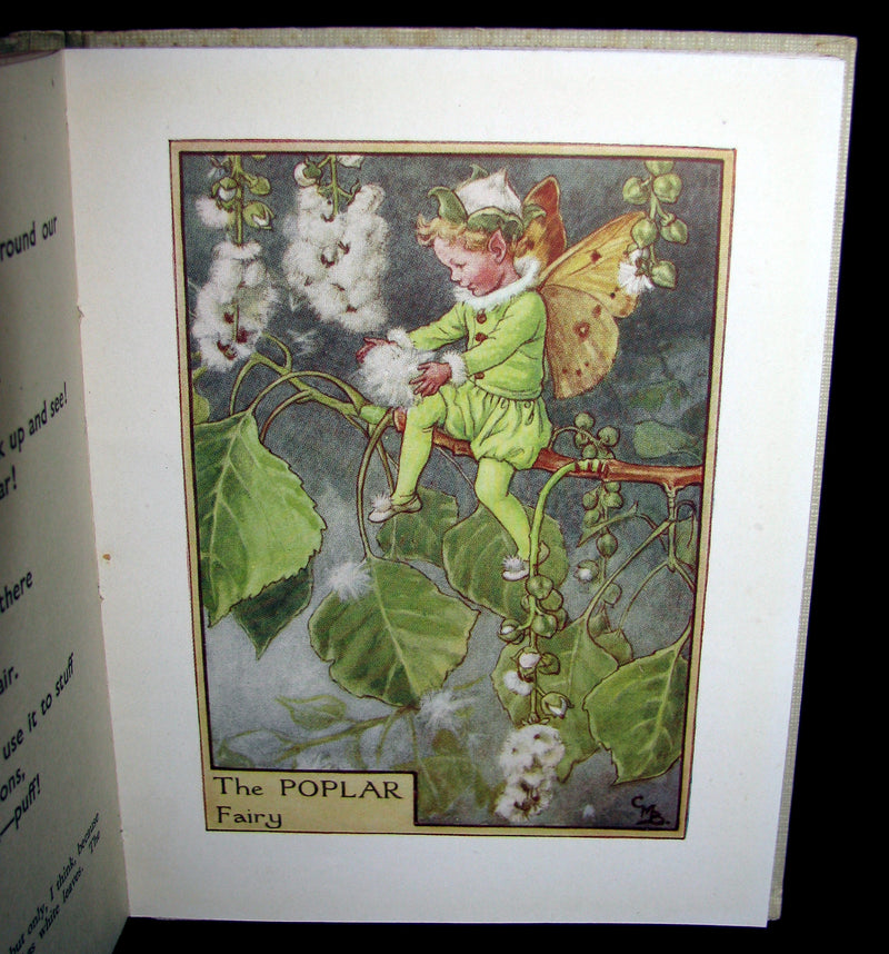 1930's Book - Cicely Mary Barker - FLOWER FAIRIES OF THE TREES