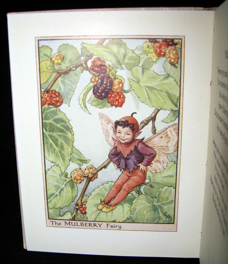1930's Book - Cicely Mary Barker - FLOWER FAIRIES OF THE TREES