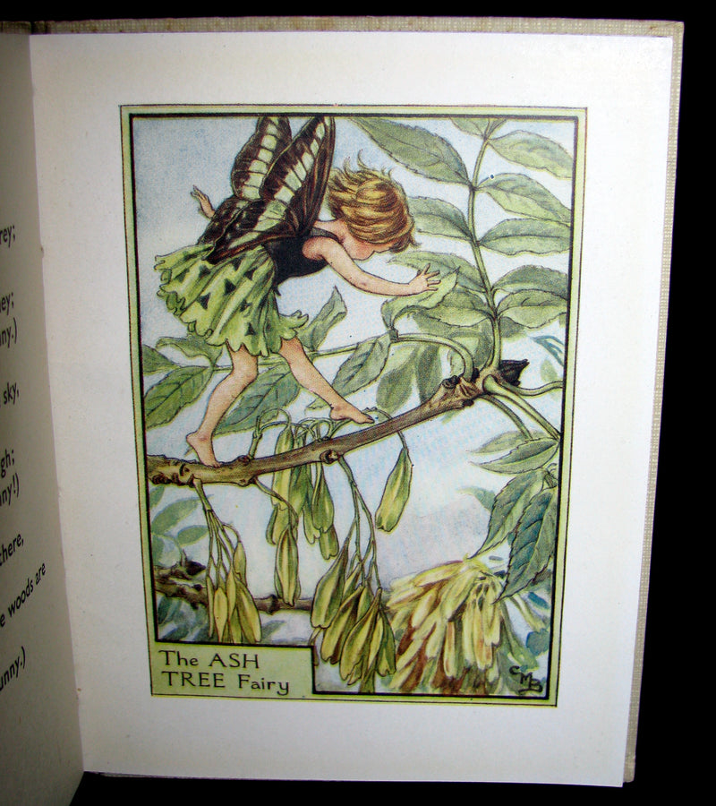 1930's Book - Cicely Mary Barker - FLOWER FAIRIES OF THE TREES