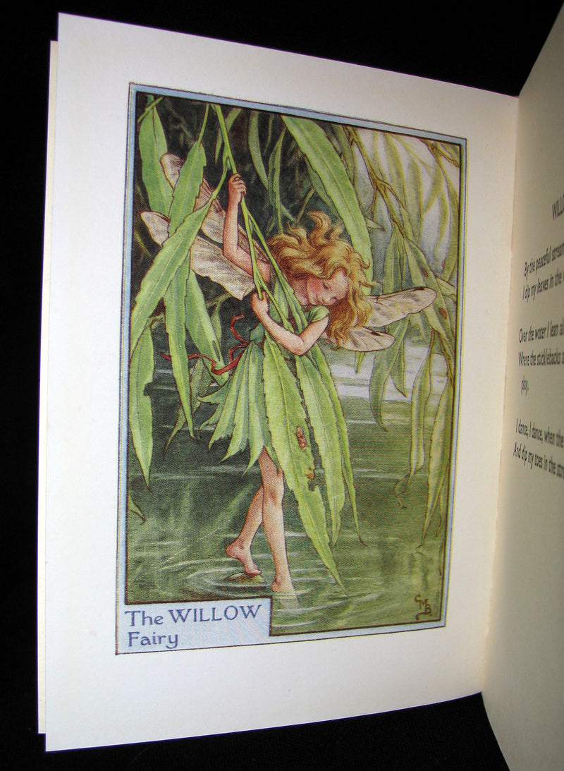 1930's Book - Cicely Mary Barker - FLOWER FAIRIES OF THE TREES