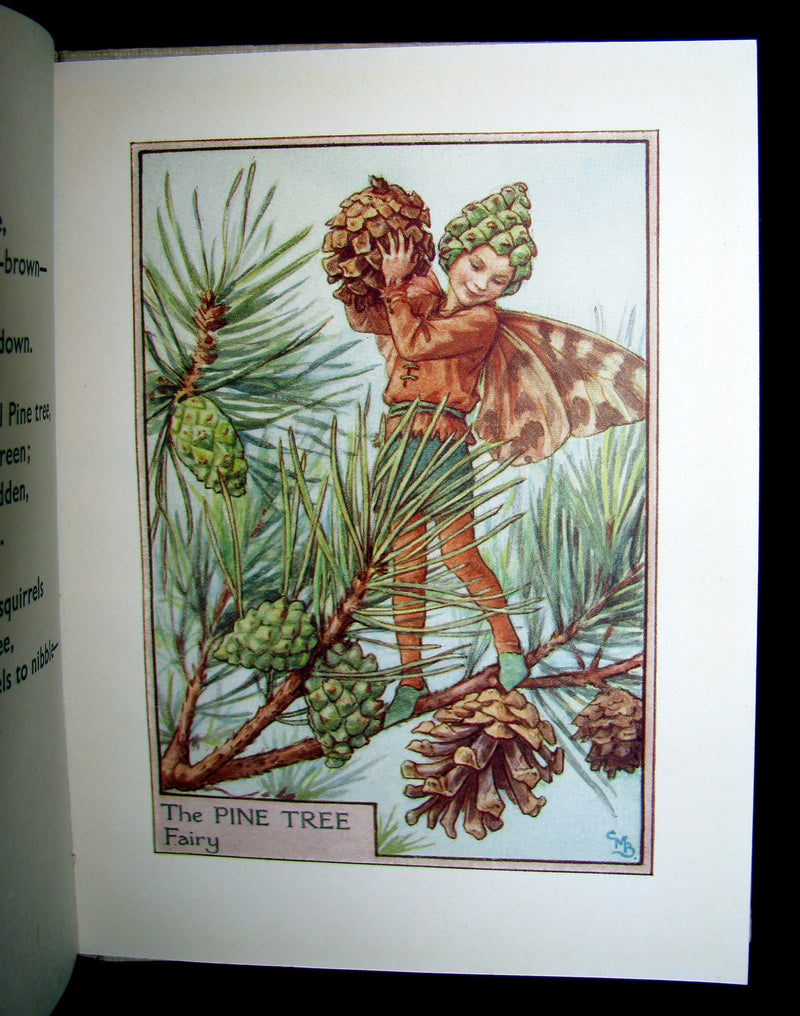 1930's Book - Cicely Mary Barker - FLOWER FAIRIES OF THE TREES